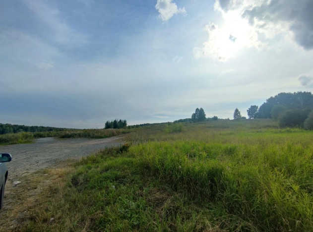 Купить земельный участок в Алтайском крае. Вариант № 8334646, 2, площадь -  квм, цена 4950000 рублей