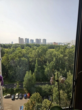 Купить квартиру в Москве. Вариант № 3314956, 9, площадь - квм, цена 33000000.0000 рублей