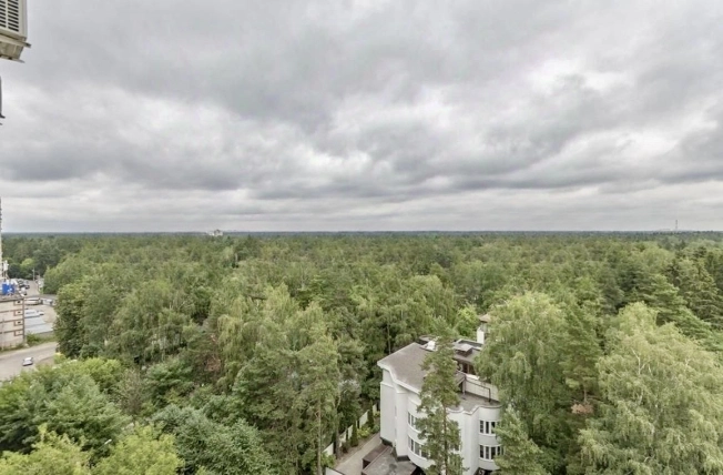 Купить двухкомнатную квартиру на улице Центральная в Щёлкове. Вариант № 4871785, 14, площадь - квм, цена 11150000 рублей