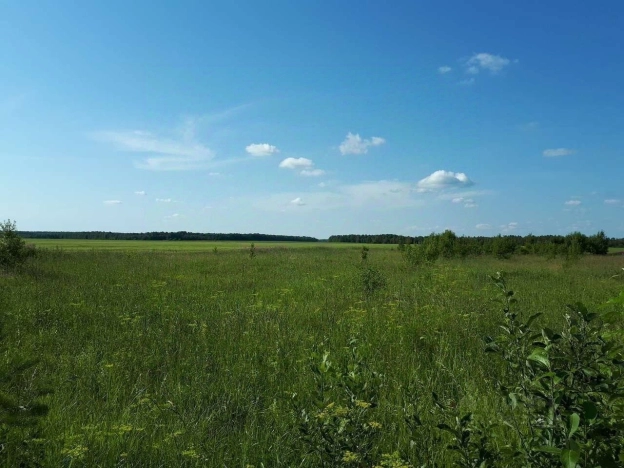 Купить земельный участок в Челябинской области. Вариант № 57824, 0, площадь -  квм, цена 80000000 рублей