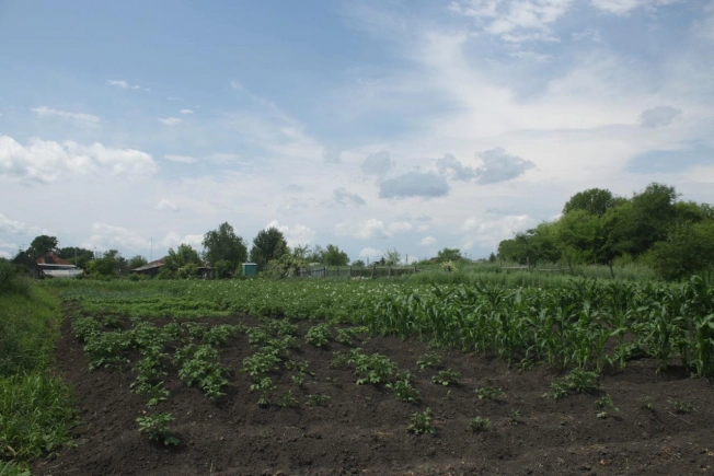 Купить дом на улице Амурская в Амурской области. Вариант № 60789, 19, площадь -  квм, цена 1000000 рублей