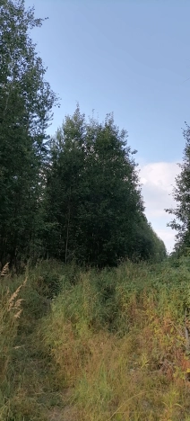 Купить земельный участок в Республике Коми. Вариант № 2121765, 6, площадь -  квм, цена 660000 рублей