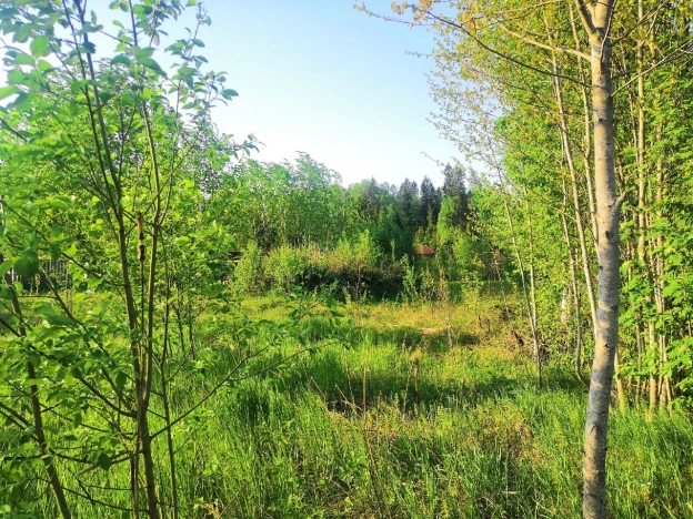 Купить земельный участок на улице Полевая в Вологодской области. Вариант № 1630, 2, площадь -  квм, цена 200000 рублей