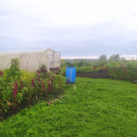 Купить дом на улице 8-я Берёзовая в Тюменской области. Вариант № 3059925, 5, площадь -  квм, цена 2500000 рублей