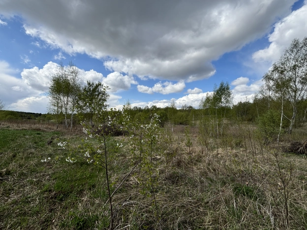 Купить земельный участок в Тульской области. Вариант № 28122, 3, площадь -  квм, цена 240000 рублей