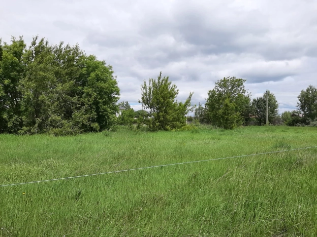 Купить земельный участок в Алтайском крае. Вариант № 9088309, 3, площадь -  квм, цена 3800000 рублей