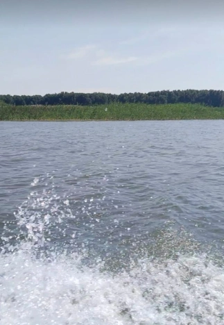 Купить земельный участок в Новосибирске. Вариант № 6628946, 1, площадь -  квм, цена 700000 рублей