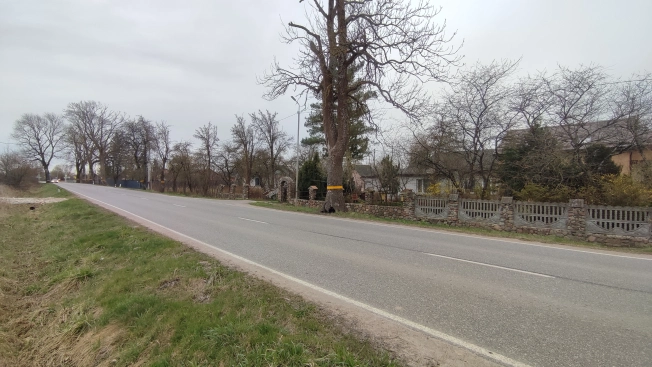 Купить земельный участок на улице Золотистая в Зеленоградске. Вариант № 36240, 2, площадь -  квм, цена 1400000 рублей