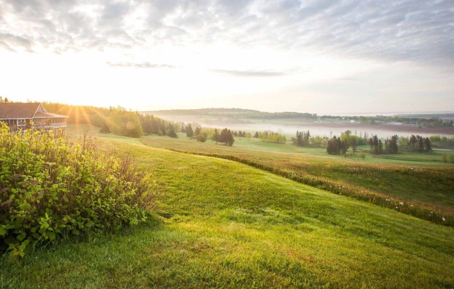 Купить земельный участок на улице Ветеранов в Нижегородской области. Вариант № 13382, 1, площадь -  квм, цена 500000 рублей