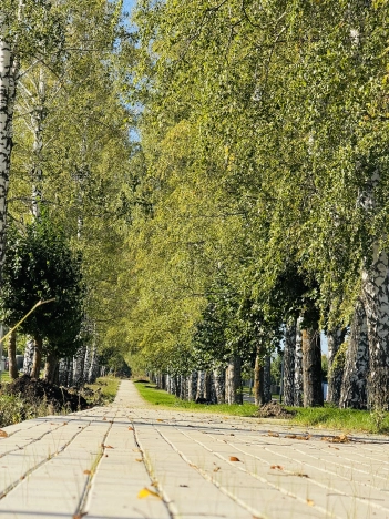 Купить земельный участок в Пензе. Вариант № 8275743, 3, площадь -  квм, цена 6190000 рублей