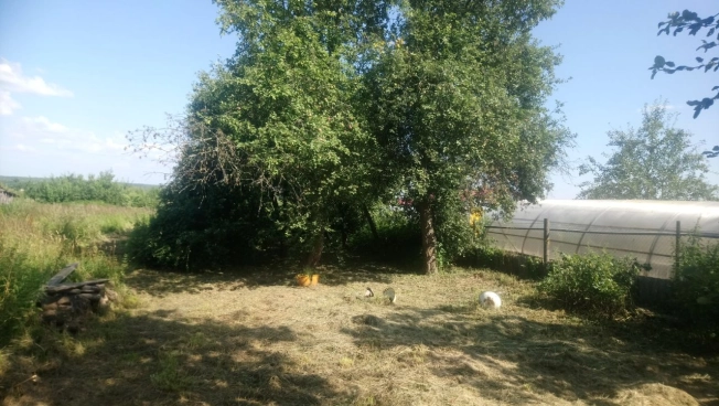 Купить дом в Судогде. Вариант № 1489, 2, площадь -  квм, цена 1720000 рублей