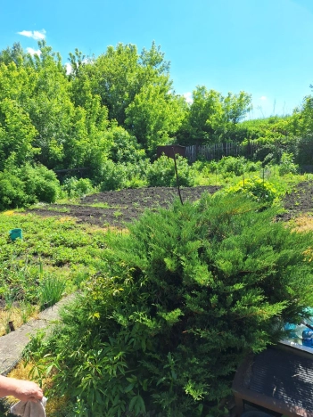 Купить дачу в Алтайском крае. Вариант № 36526, 12, площадь -  квм, цена 220000 рублей