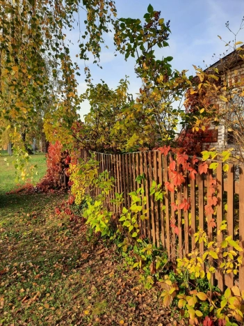 Купить дом в Лакинске. Вариант № 740932, 4, площадь -  квм, цена 1190000 рублей