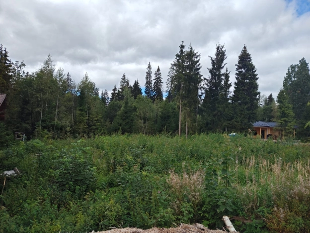 Купить земельный участок в Химках. Вариант № 2333526, 4, площадь -  квм, цена 10700000 рублей