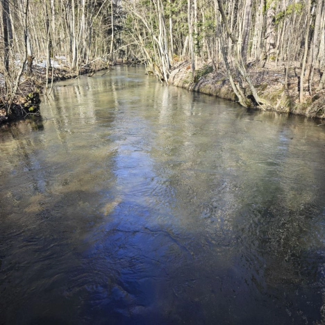 Купить земельный участок в Санкт-Петербурге. Вариант № 1736983, 1, площадь -  квм, цена 14000000 рублей