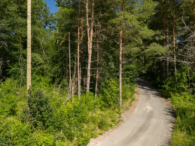 Купить земельный участок на улице Цветочная в Республике Карелия. Вариант № 987392, 9, площадь -  квм, цена 1850000 рублей
