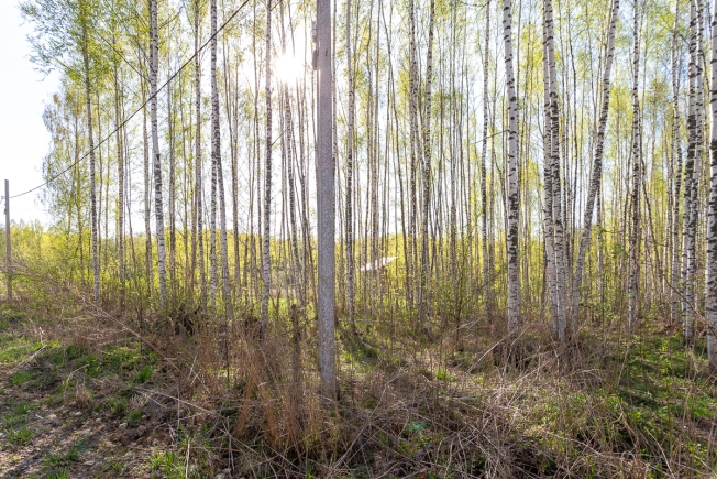 Купить земельный участок на улице Селецкий Вал в Владимире. Вариант № 28228, 2, площадь -  квм, цена 1150000 рублей