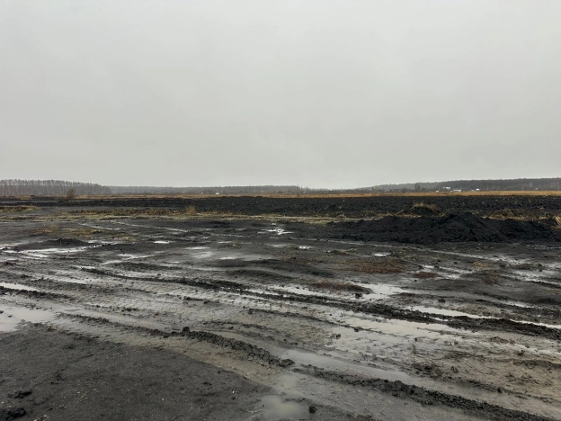 Купить земельный участок в Пензе. Вариант № 9812736, 4, площадь -  квм, цена 24500000 рублей