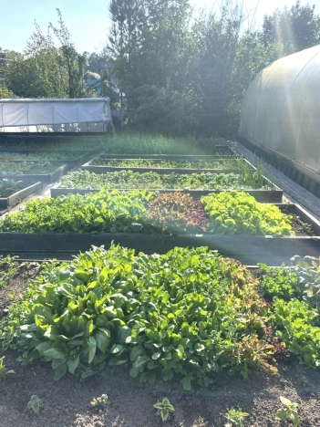 Купить дачу в Иркутской области. Вариант № 9381957, 17, площадь -  квм, цена 4150000 рублей