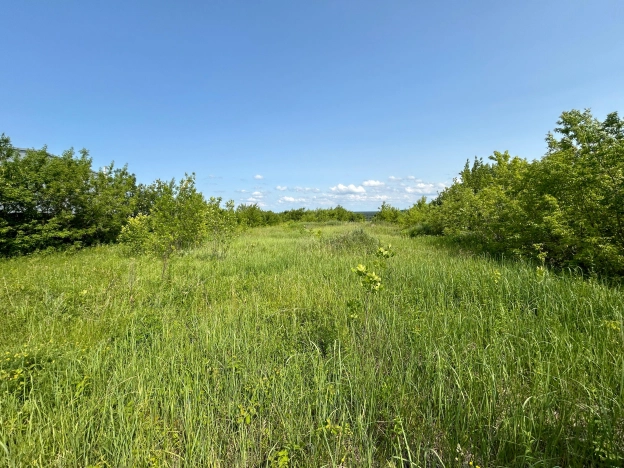 Купить земельный участок в Пензенской области. Вариант № 53081, 0, площадь -  квм, цена 2650000 рублей