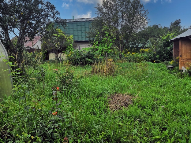 Купить дачу в Нижегородской области. Вариант № 5490144, 5, площадь -  квм, цена 700000 рублей