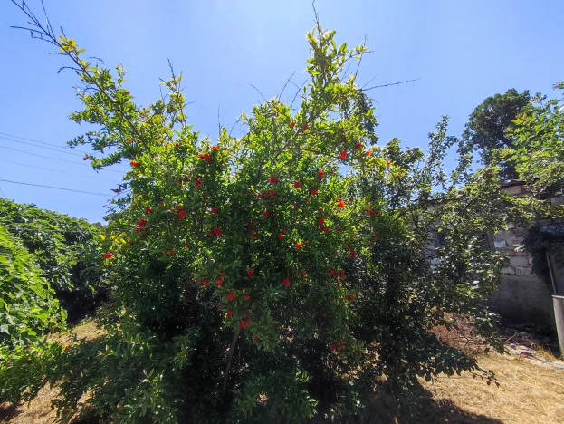 Купить дом на улице Шоссейный переулок в Краснодарском крае. Вариант № 56108, 20, площадь -  квм, цена 7800000 рублей