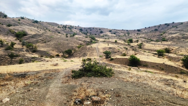 Купить земельный участок на улице Центральная в Республике Крым. Вариант № 2604311, 7, площадь -  квм, цена 130000000 рублей