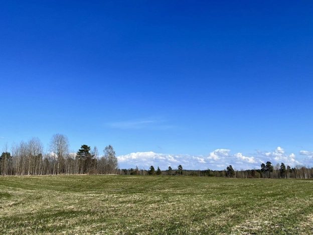 Купить земельный участок в Ленинградской области. Вариант № 8240019, 0, площадь -  квм, цена 1980000 рублей
