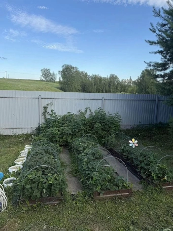 Купить дом в Коломне. Вариант № 9508638, 24, площадь -  квм, цена 3800000 рублей