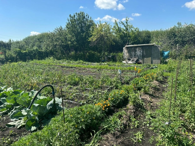 Купить земельный участок в Стерлитамаке. Вариант № 10718, 3, площадь -  квм, цена 350000 рублей