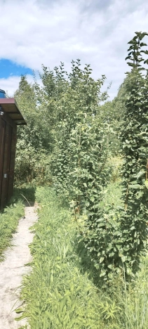 Купить земельный участок в Тульской области. Вариант № 10621798, 12, площадь -  квм, цена 1600000 рублей