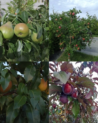 Купить дом на улице Каменная в Зеленоградске. Вариант № 30488, 40, площадь -  квм, цена 34500000 рублей