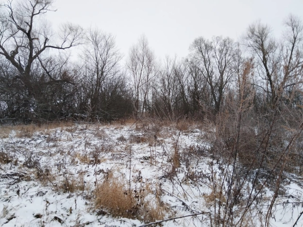 Купить земельный участок в Тульской области. Вариант № 19500, 8, площадь -  квм, цена 495000 рублей