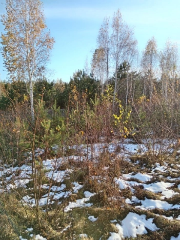 Купить земельный участок в Иркутске. Вариант № 7566434, 6, площадь -  квм, цена 3150000 рублей