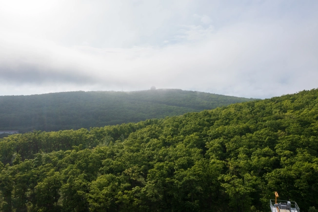 Купить двухкомнатную квартиру в новостройках в Приморском крае. Вариант № 4137235, 2, площадь -  квм, цена 10592700 рублей