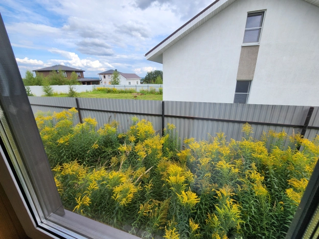 Купить дом на улице Ленина в Нижегородской области. Вариант № 2032703, 20, площадь -  квм, цена 5488000 рублей