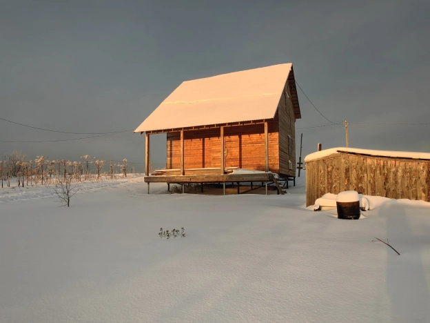 Купить земельный участок в Республике Коми. Вариант № 21269, 8, площадь -  квм, цена 3700000 рублей