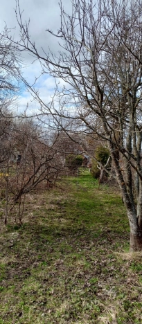 Купить дом в Петушках. Вариант № 11077, 26, площадь -  квм, цена 3650000 рублей