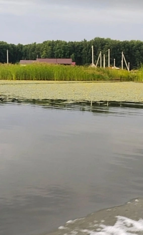 Купить земельный участок в Новосибирске. Вариант № 6627870, 3, площадь -  квм, цена 750000 рублей