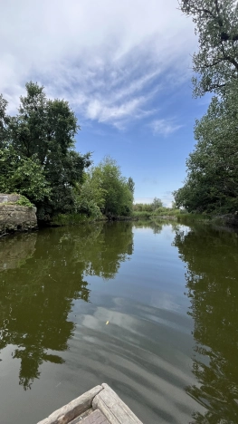 Купить земельный участок на улице 3-я Часовая в Ростове-на-Дону. Вариант № 53437, 5, площадь -  квм, цена 2500000 рублей