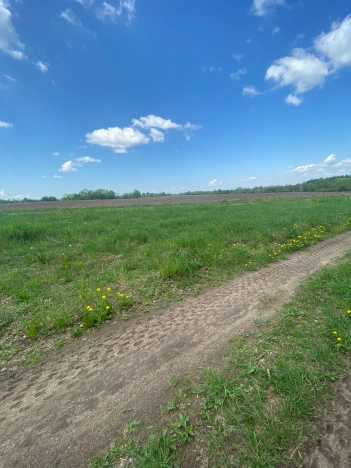 Купить земельный участок в Вологодской области. Вариант № 8670, 1, площадь -  квм, цена 800000 рублей