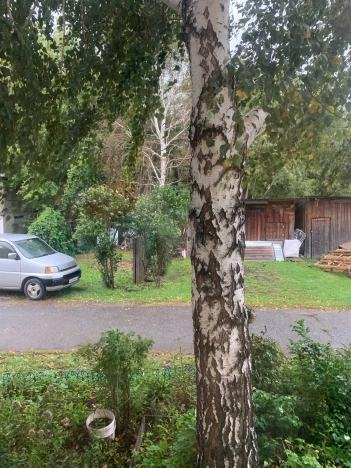 Купить двухкомнатную квартиру на улице переулок Николая Липового в Бийске. Вариант № 3947557, 7, площадь -  квм, цена 2150000 рублей