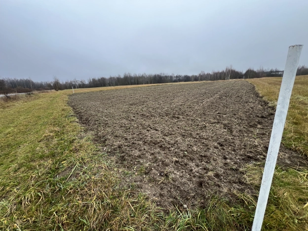 Купить земельный участок в Владимире. Вариант № 9086475, 5, площадь -  квм, цена 600000 рублей