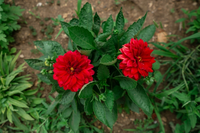 Купить земельный участок в Республике Крым. Вариант № 9691215, 23, площадь -  квм, цена 6200000 рублей