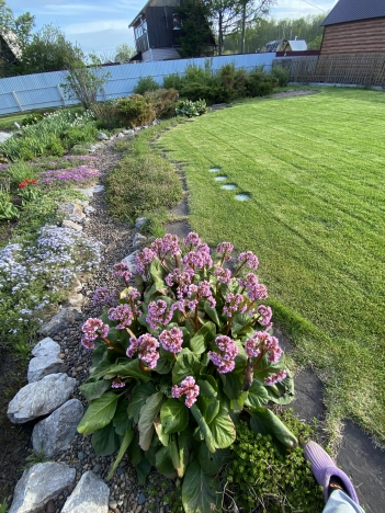 Купить дачу на улице Циолковского в Новосибирске. Вариант № 31444, 19, площадь -  квм, цена 6370000 рублей