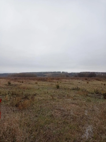 Купить земельный участок в Воронеже. Вариант № 24354, 6, площадь -  квм, цена 10100000 рублей