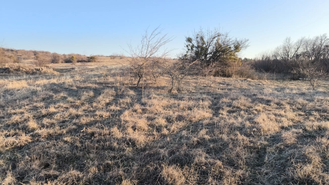 Купить земельный участок в Республике Крым. Вариант № 29221, 0, площадь -  квм, цена 800000 рублей