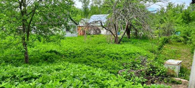 Купить дачу в Владимирской области. Вариант № 4598, 1, площадь -  квм, цена 316000 рублей