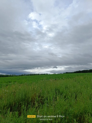 Купить земельный участок в Арсеньеве. Вариант № 1174, 9, площадь -  квм, цена 550000 рублей