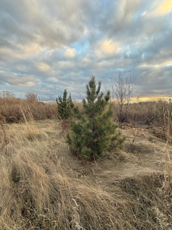 Купить дом в Алтайском крае. Вариант № 8923403, 36, площадь -  квм, цена 5680000 рублей